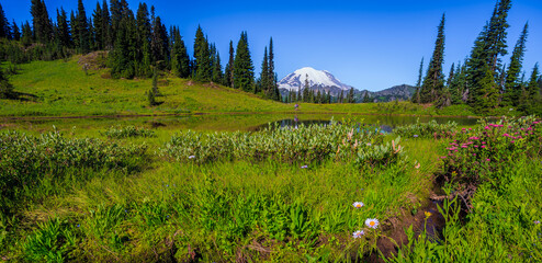 Rainier Views From Little Tipsoo Lake, Mt Rainier National Park, Washington