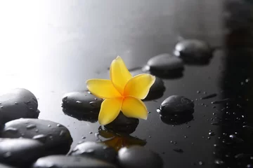 Fototapeten Stillleben mit gelben Frangipani und schwarzen Zen-Steinen, nass im Hintergrund © Mee Ting
