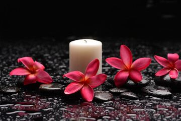 still life of with four 
red frangipani and  white candle with zen black stones ,wet background

