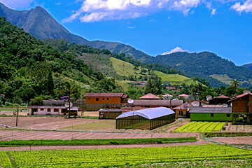 Plantação de hortaliças. Teresopolis. Rio de Janeiro
