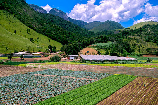 Planta&ccedil;&atilde;o de hortali&ccedil;as. Teresopolis. Rio de Janeiro