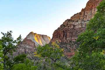 Cottonwoods and Peaks at Zion
