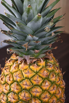 Fresh Pineapple being seen from a the top on a brown wooden table. Closed up detailed view of a pineapple