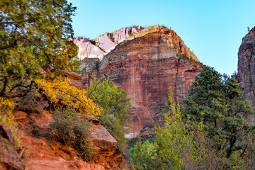 Fototapeta na wymiar Contrasts of Fall Color and Sheer Cliffs at Zion