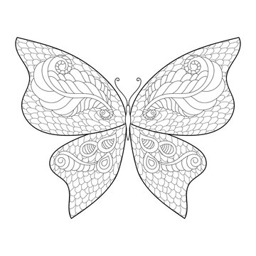 Butterflies for adult anti stress coloring pages in doodle style. Hand drawn sketch. Insect for posters or prints decoration.