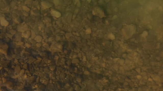 Straight down view on rocks and pebbles underwater with small ripples