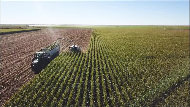 Corn harvest with combine and tractor cutting corn rows.