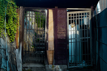 Onomichi in Hiroshima, 2020.