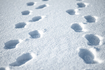 many footprints in the snow on a winter sunny day