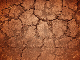 Brown cracked dry desert soil.