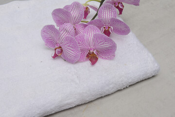 Fototapeta na wymiar Striped orchid on white towel with copy space-gray background 