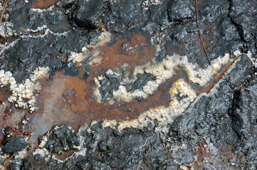 Texture of crude oil spill on the surface of the soil - environment pollution.