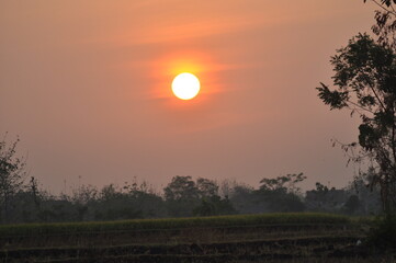 sunset over the field