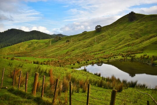 New Zealand, Beautiful Green Landscape With Mountains And Lake. 