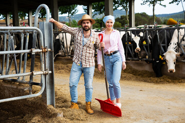 Smiling female and man farmers standing during break at cow farm