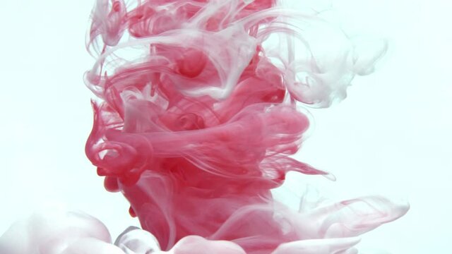 Pink ink dropped in water on white background, Slow motion.