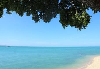 Sea view with beach at the bottom right and leaves from a big tree at the top