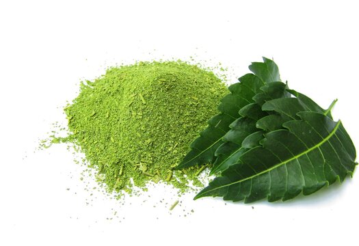 Neem leaves with powder