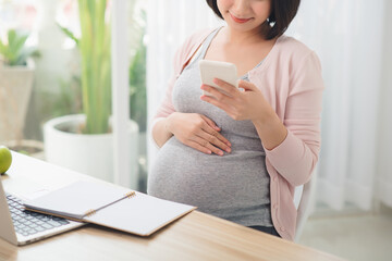 Young pregnant woman working in home office