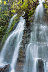 Obraz premium CASCADA BOSQUE AGUA 