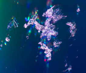 Naklejka na ściany i meble Snowflakes on a blue background with reflection.