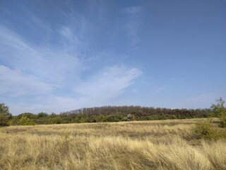 Obraz premium field and sky