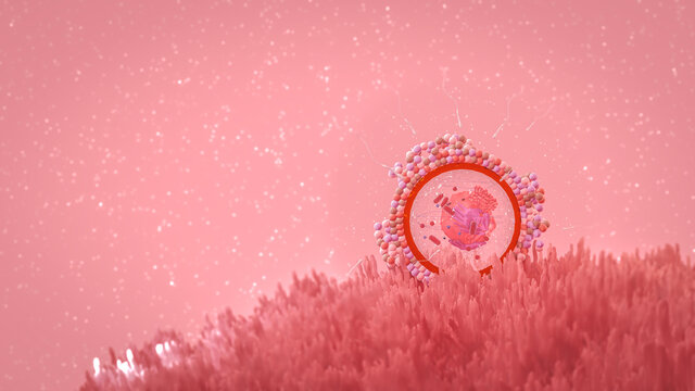 Fertilization  of female egg  and sperm.  Egg cell fertility concept 3d rendering