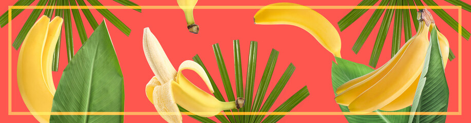 Ripe bananas and tropical leaves on red background