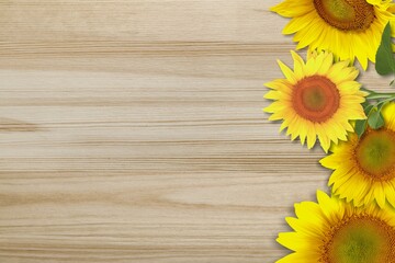 Obraz premium Agriculture.