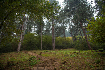 Obraz premium Stairs leading to the top of the Pyramid of the Sun, known for their healing effects, Bosnian pyramids near the Visoko city, Bosnia and Herzegovina. Visoko, Bosnia and Herzegovina 24.10.2020