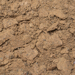 soil on the ground as texture and background.