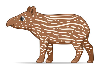 South American tapir animal standing on a white background