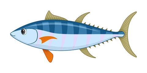 Bluefin tuna fish on a white background