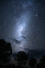 Stars