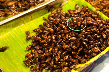 Thai food at market. Fried insects mealworms for snack