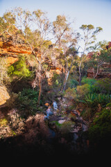 Oase outback