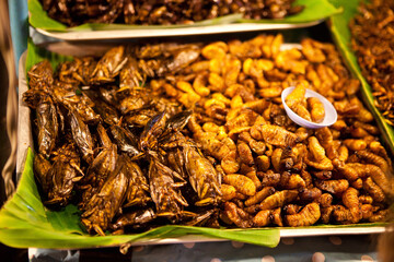 Thai food at market. Fried insects mealworms for snack