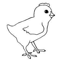 Little chiken black and white Vector Line art. Easter symbol. Standing bird. For invitention, postcard, coloring
