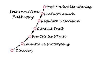 Seven components of innovation pathway