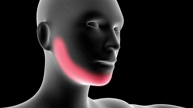 3d animation of a woman xray hologram showing pain area on the jaw with alpha channel