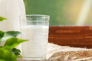Bottle and glass of milk on wooden table against blurred foliage background