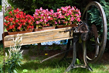 Flowerbed from an old agricultural machine.