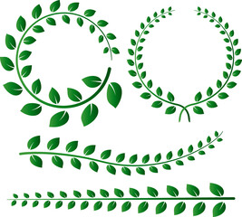 Olive tree branches. Set for use in decoration.