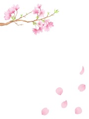 桜の枝と花びら　縦