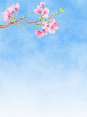 桜のひと枝と青空の背景イラスト　縦