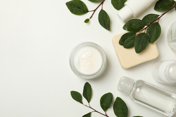 Spa cosmetic products and branches with leaves on white background, top view