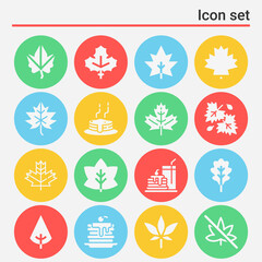 16 pack of definitely  filled web icons set