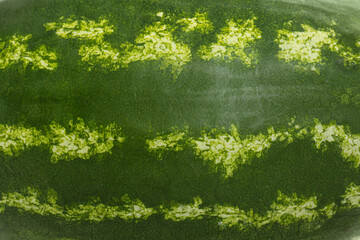 Delicious ripe whole watermelon as background, closeup