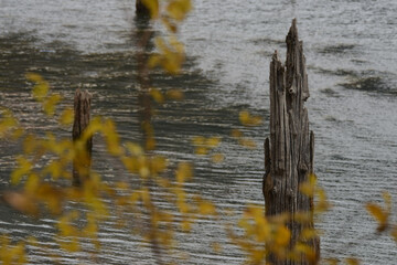 Suluklu Lake is in the district of Bolu in Turkey. ( Autumn lake view ) Camping area available.