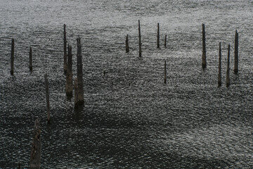 Suluklu Lake is in the district of Bolu in Turkey. ( Autumn lake view ) Camping area available.